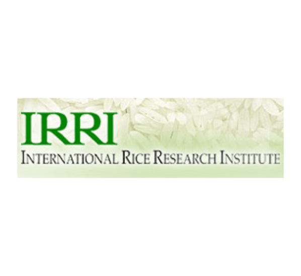 International Rice Research Institute (IRRI)